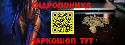 твердый Краснознаменск